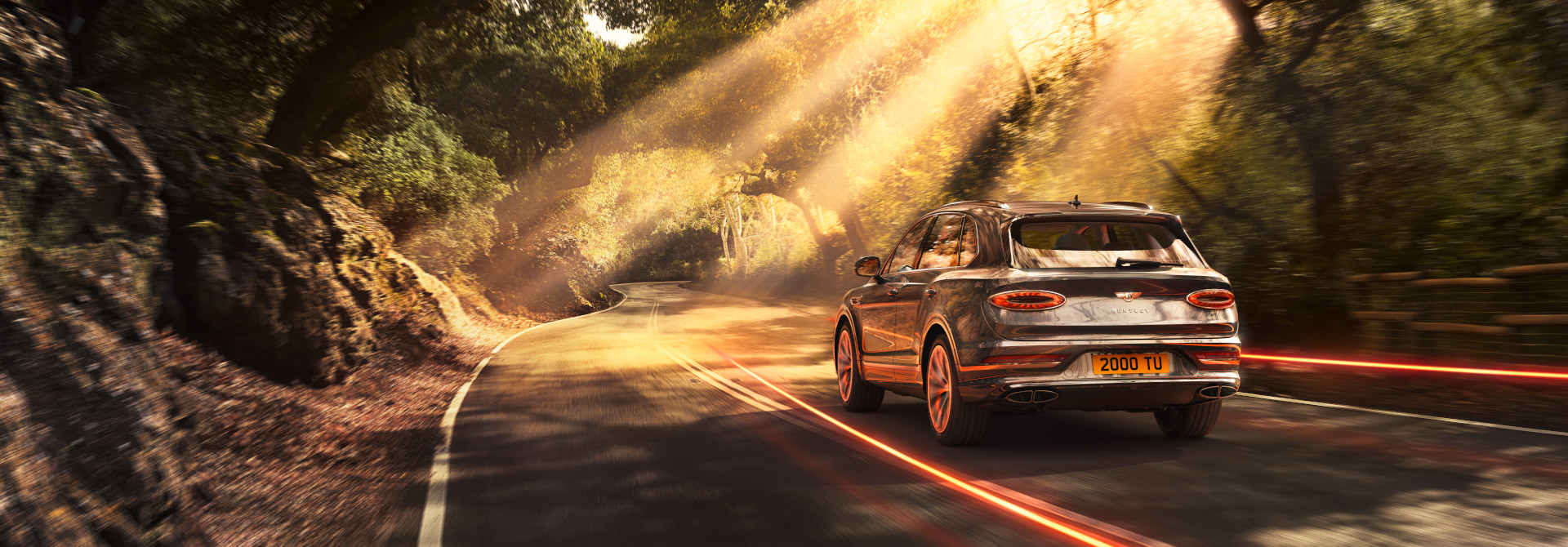 new-Bentley-Bentayga-V8-rear-woodland